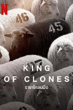 Documentaries สารคดี